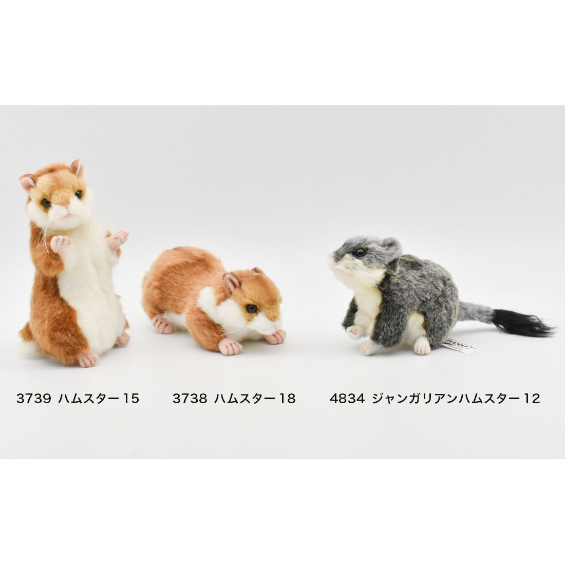 ハムスター 15 | HANSA