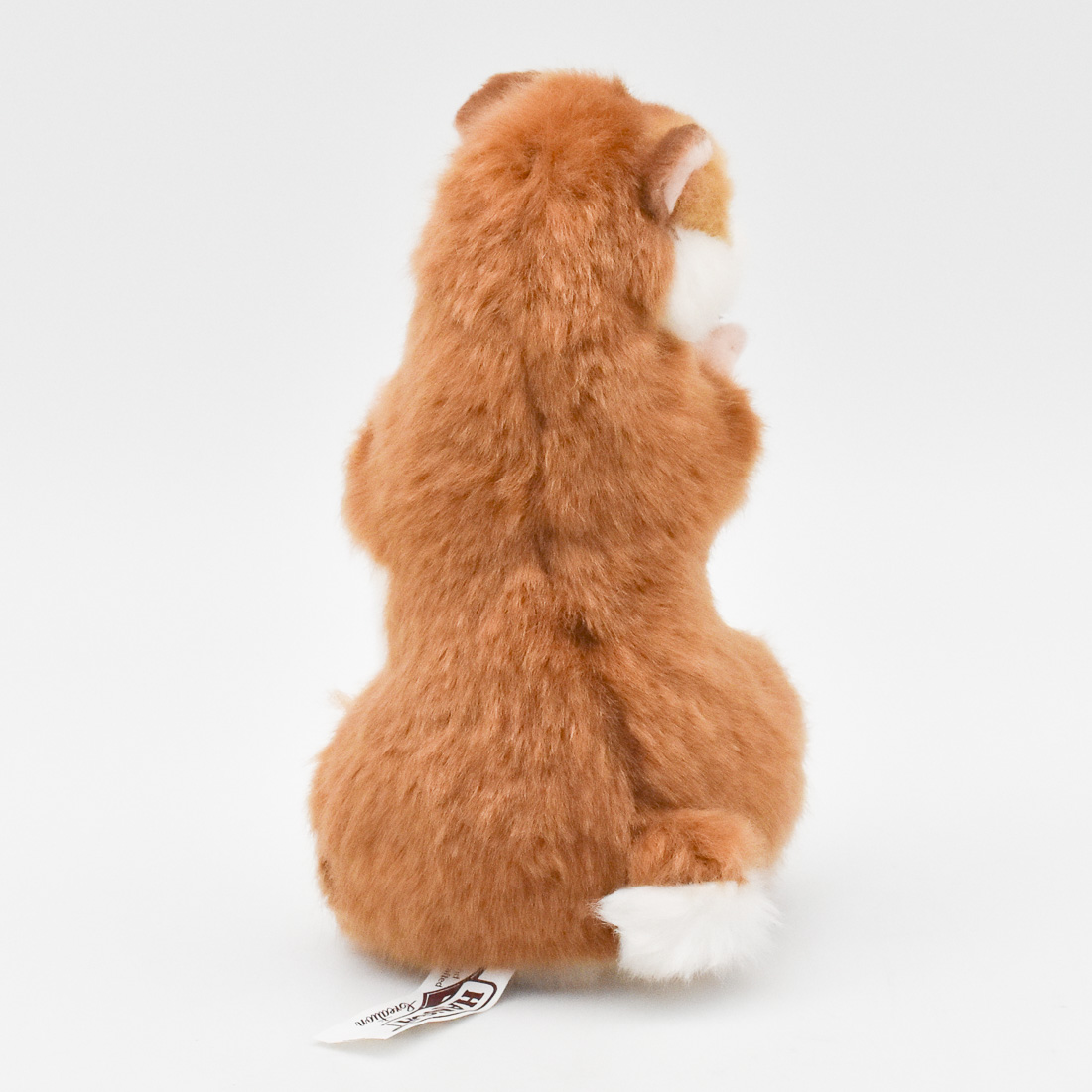 ハムスター 15 | HANSA