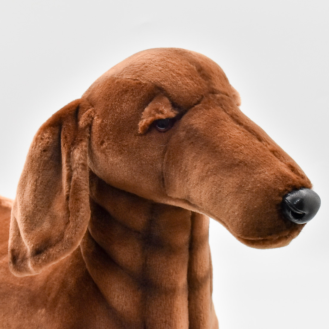 ミニチュアダックスフンド 56 | HANSA