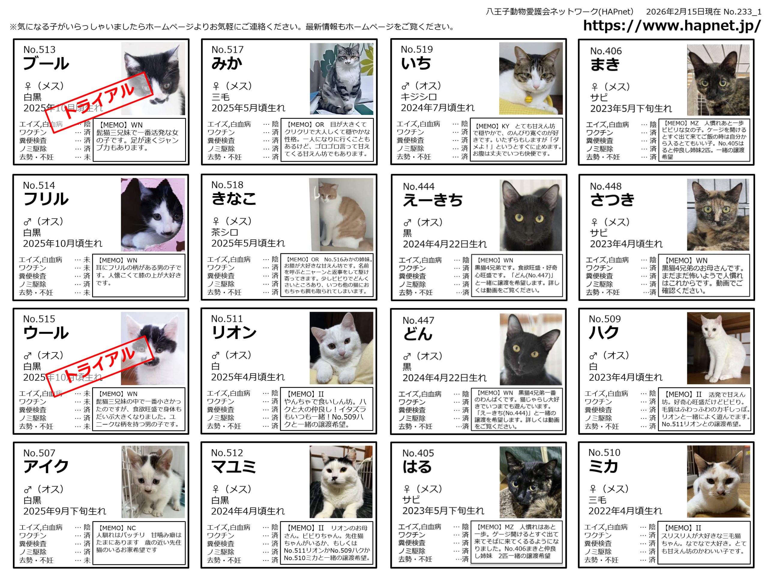 八王子市の保健所で犬と猫の譲渡会を開催しているボランティア団体