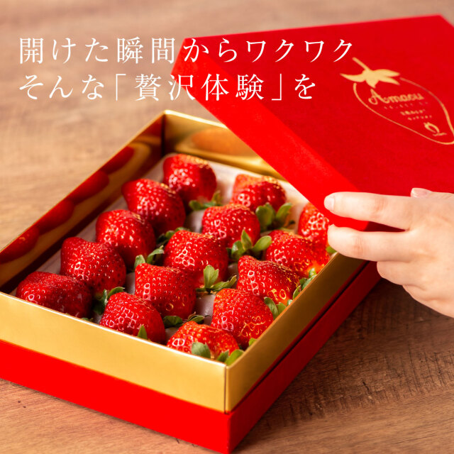 VIPボックス赤 完熟あまおう 3Lサイズ 450g ギフトのスタンダード