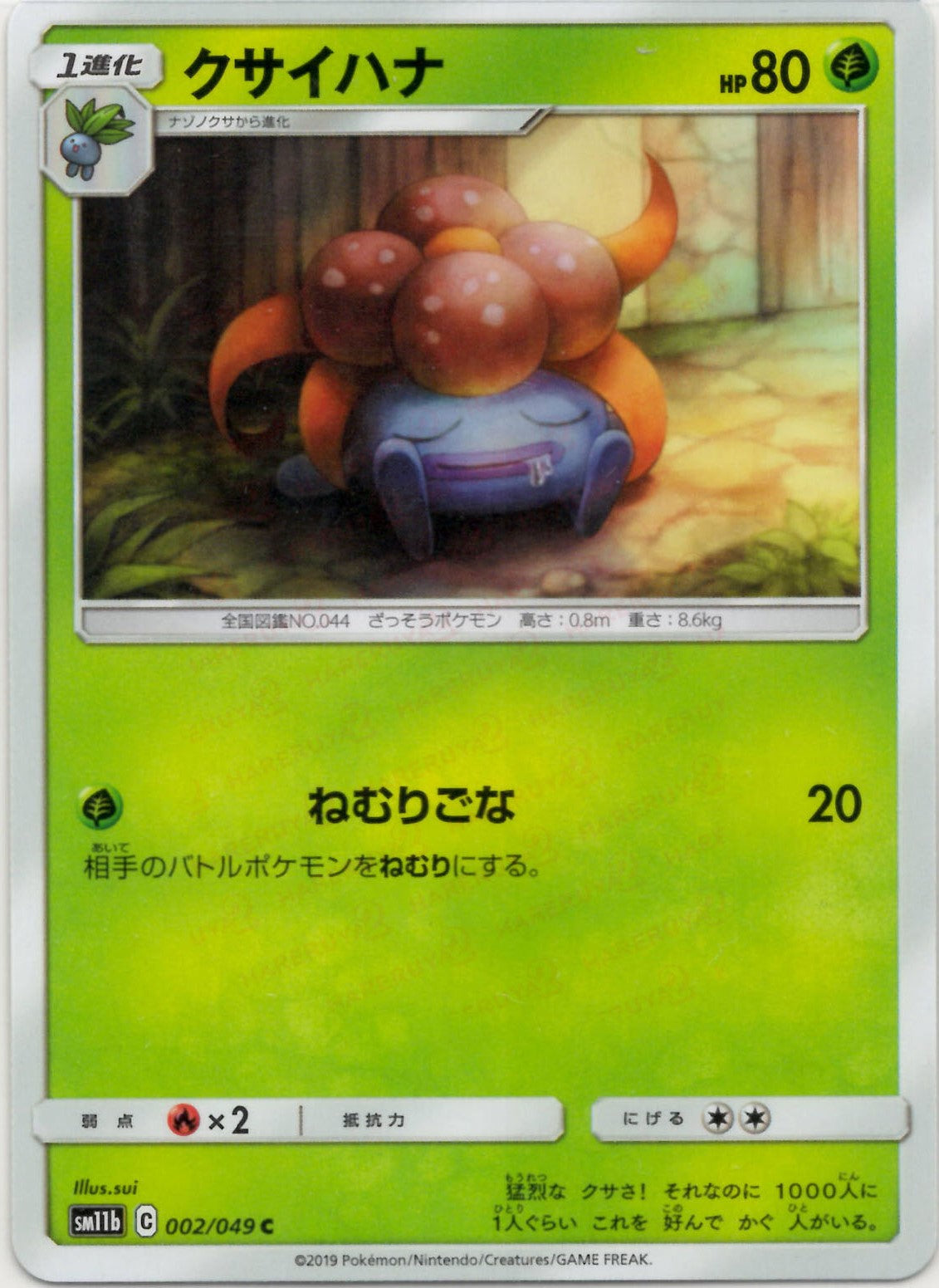 強化拡張パック「ドリームリーグ」 – 晴れる屋2