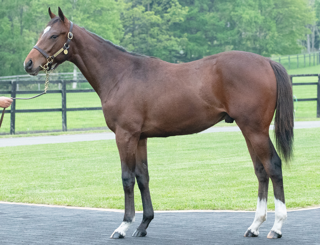 日高軽種馬農業協同組合