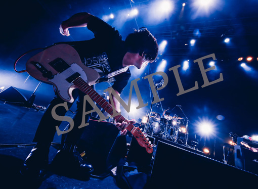 ヒトリエ『HITORIE LIVE TOUR UNKNOWN 2018 