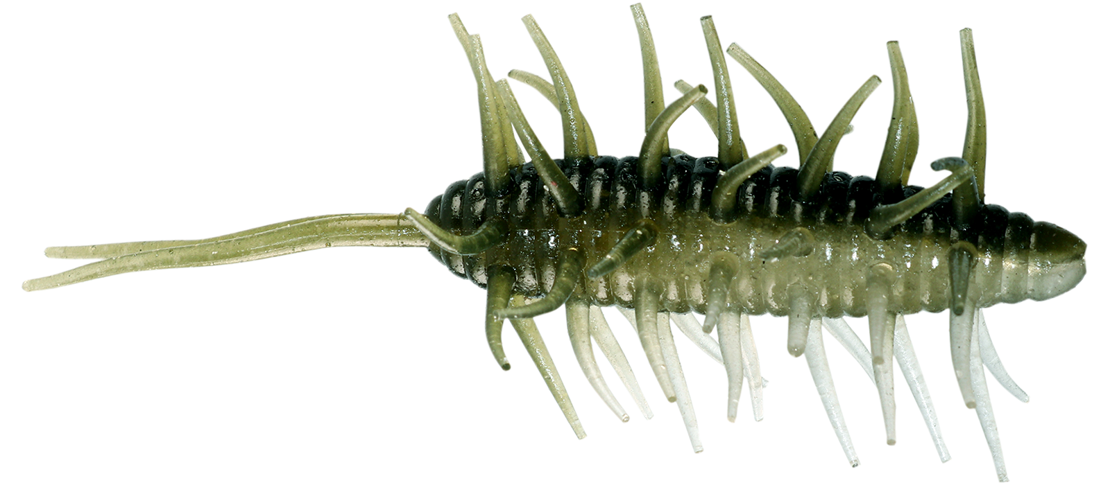 コイケシュリンプビッグ HIDEUP ハイドアップ