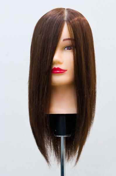 Diana カットウィッグ お試しに 人毛50% / リアル人工毛50%｜美容