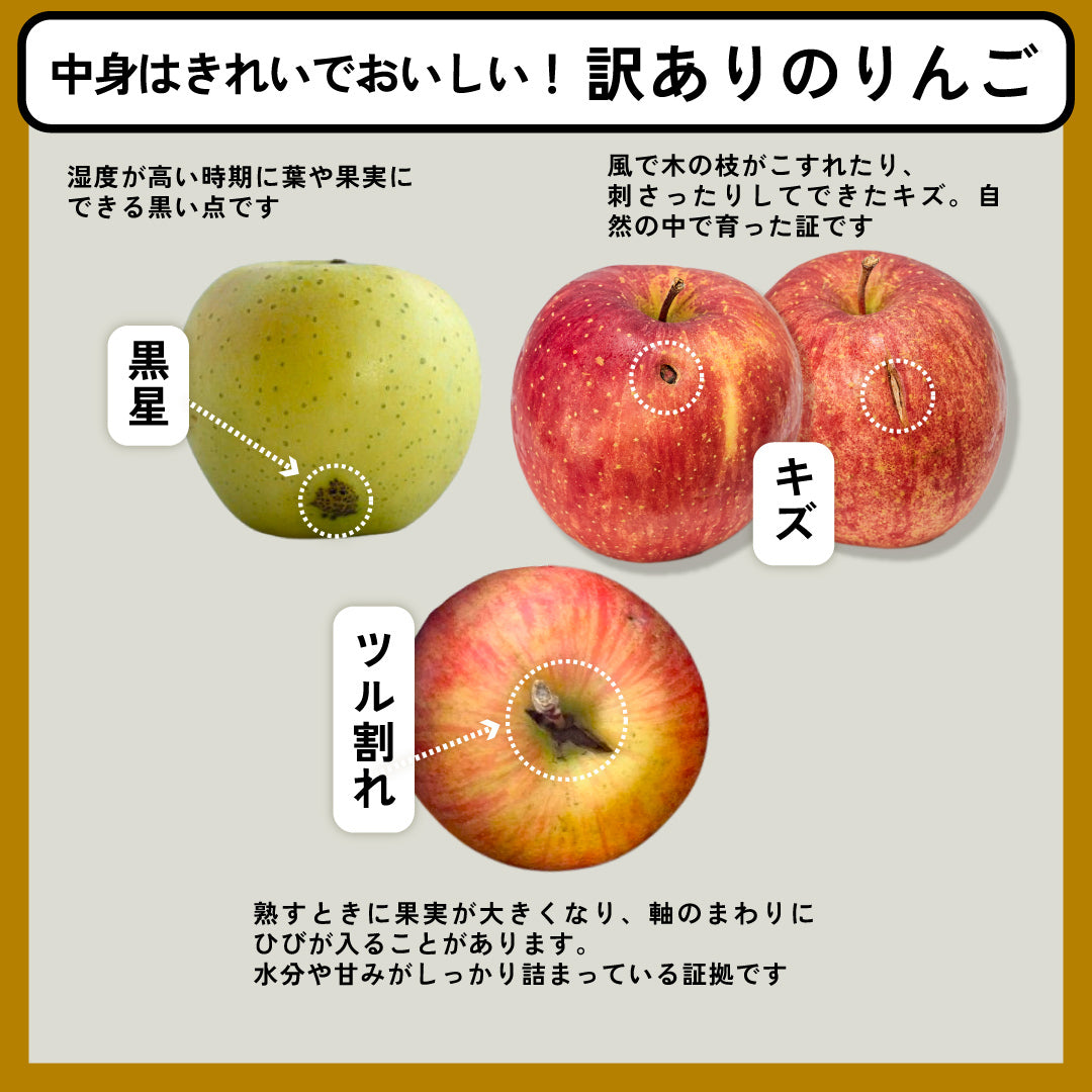 青森りんご詰め合わせ | 産地直送通販 | 青森りんご | RED APPLE