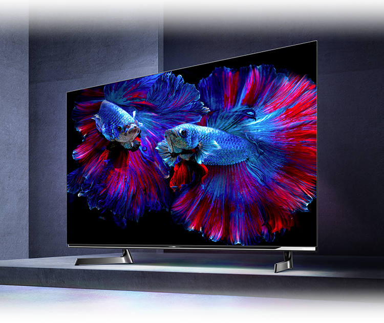 48X8F | ハイセンスジャパン株式会社