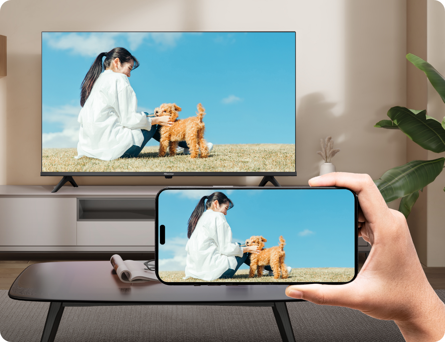 便利機能 | E7N PRO | ハイセンスジャパン株式会社