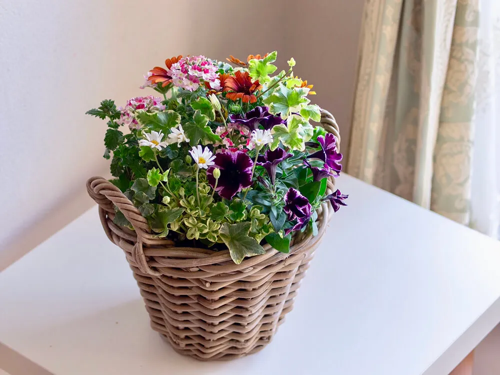 富田英明の春の寄せ植え 3つのポイントでステキな寄せ植えづくり part2