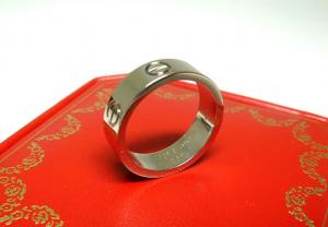 カルティエ iPadケース（レ・マスト／フューシャ） - インポート