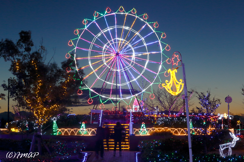 波志江沼環境ふれあい公園イルミネーション - いせさき