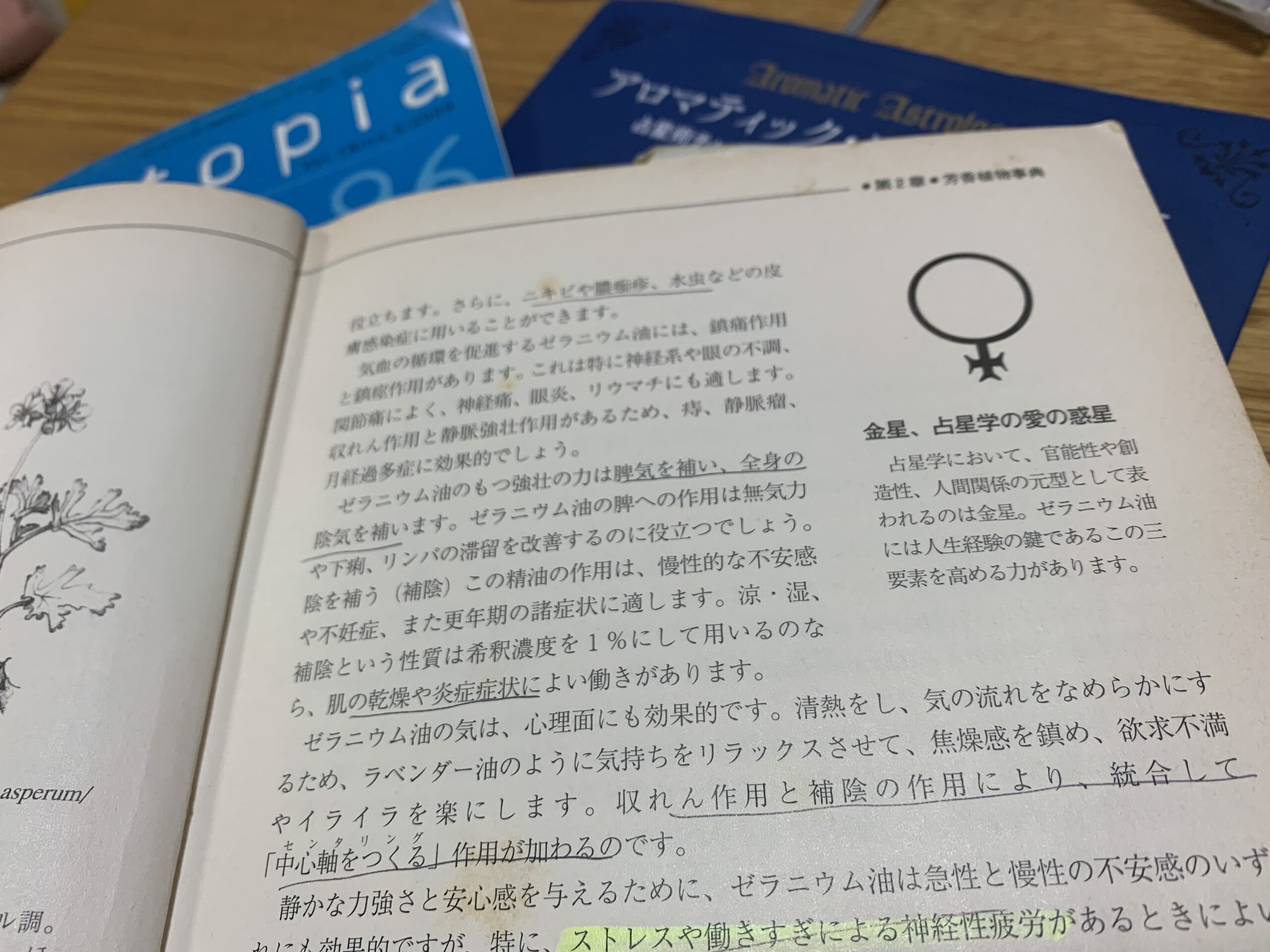 ガブリエル先生の新コース「アロマティック・メディカル・アストロ