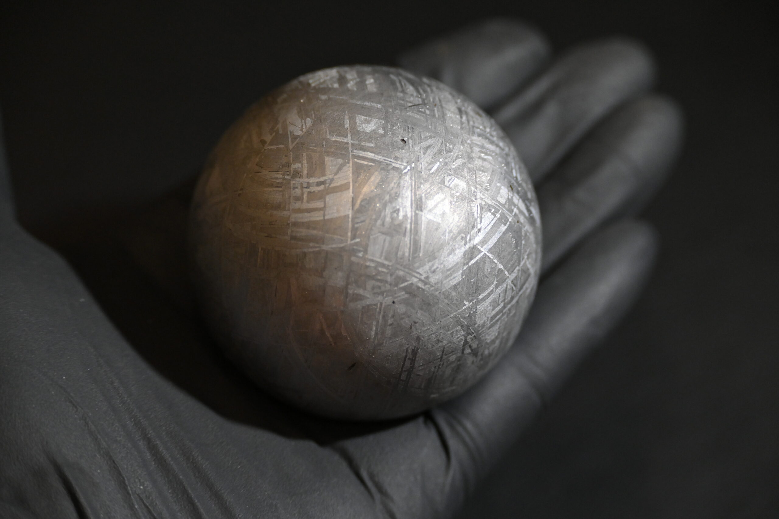 隕石コレクション14 ムオニオナルスタ隕石｜隕石・化石コレクション