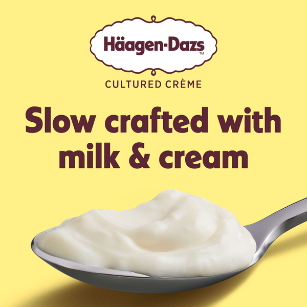 Haagen-Dazs Cultured Cream Lemon Yogurt Style Snack Same-Day