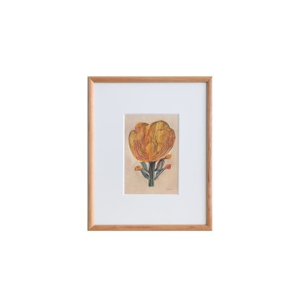 coricci コリッチ｜IDEE SHOP Online