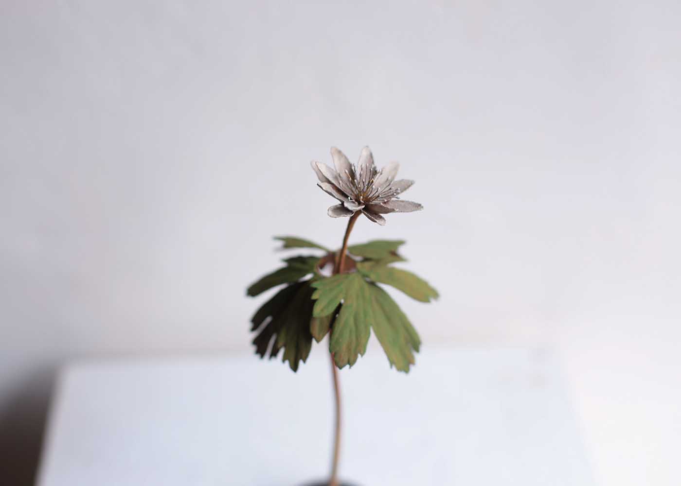 モリソン小林 作品展