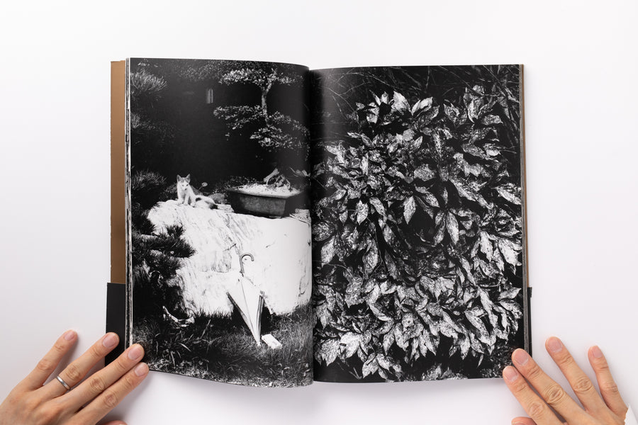 Adieu A X by 中平卓馬 – IACK