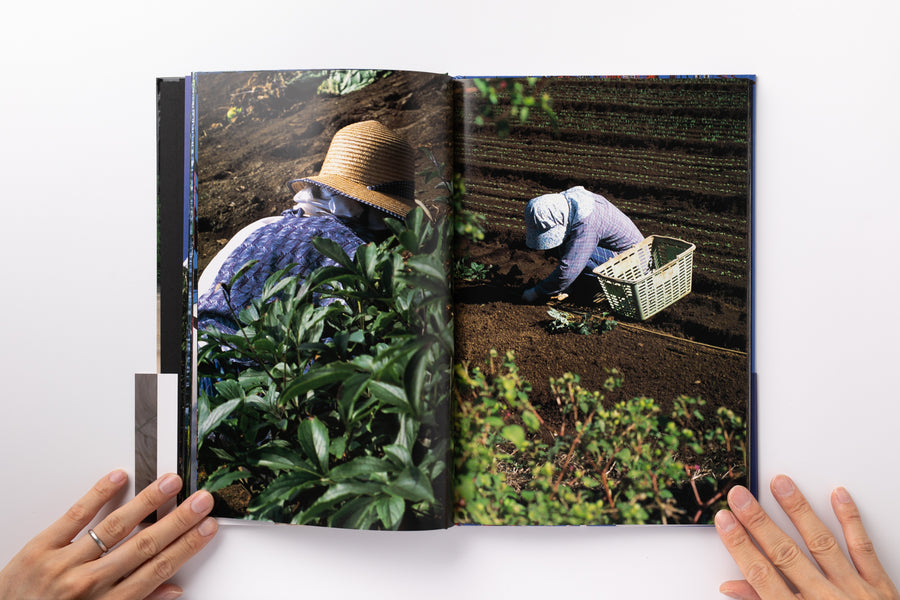 Mint) Documentary by 中平卓馬 – IACK