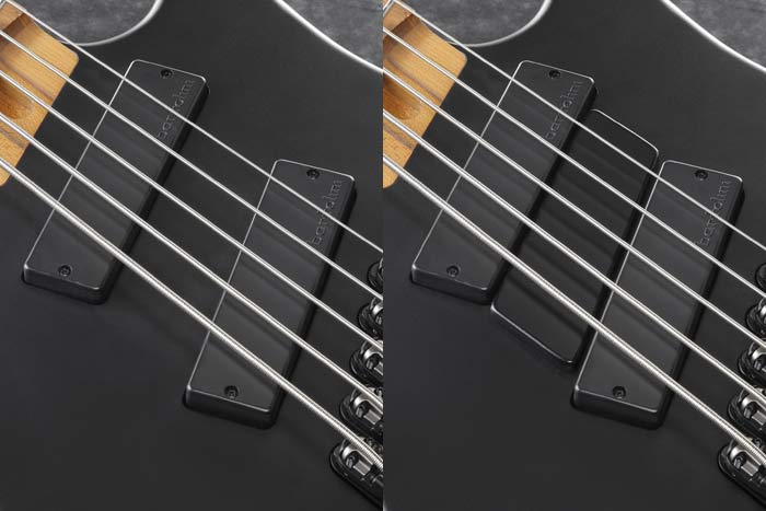 EHB1005MS | EHB | ELECTRIC BASSES | PRODUCTS | Ibanez guitars