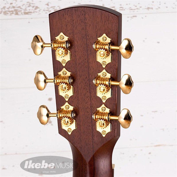 K.Yairi Nocturne f-hole Custom Kヤイリ ｜イケベ楽器店オンラインストア