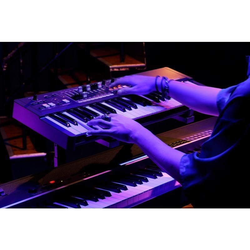 HAMMOND M-solo (49鍵盤・ハモンドドローバーオルガン) ｜イケベ楽器店