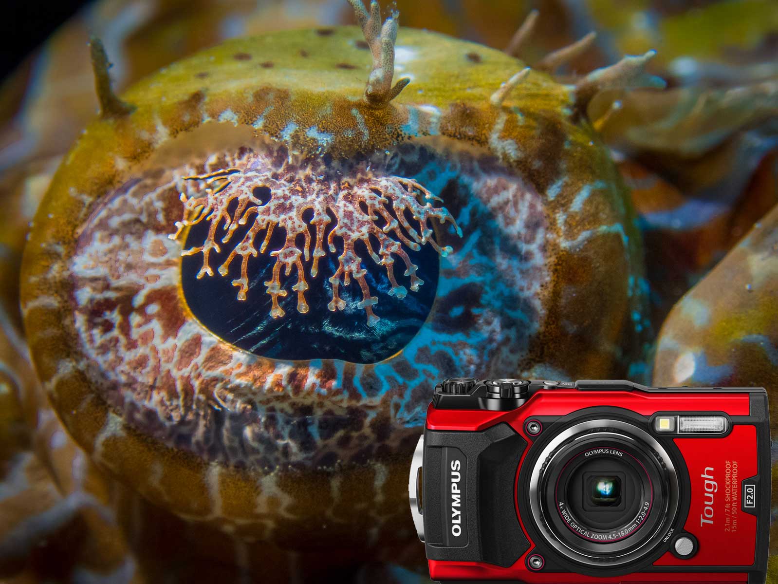 olympus-tough-tg-5-1_0c101713-