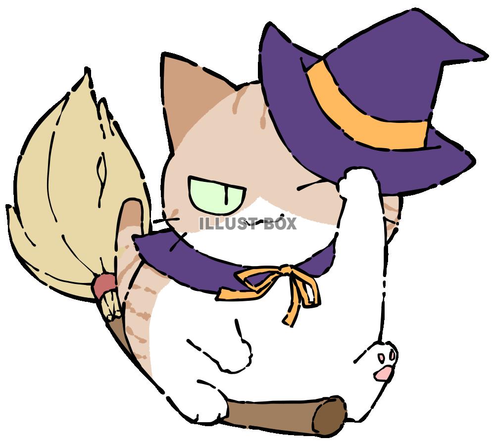 魔女のコスプレをした猫：イラスト無料