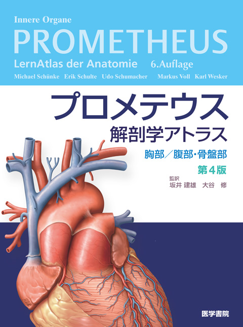 解剖学 第6版 | 書籍詳細 | 書籍 | 医学書院