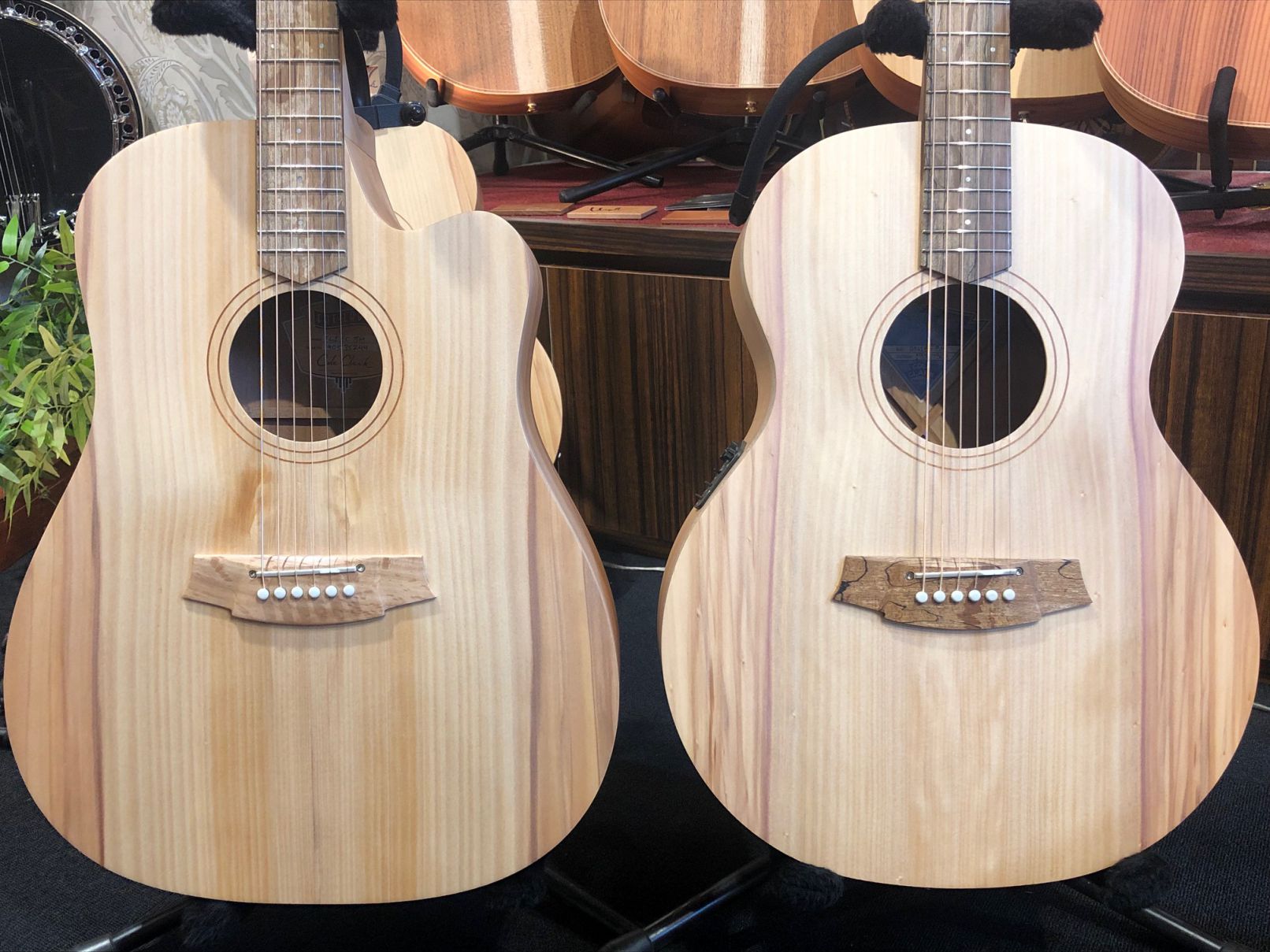 Cole Clark特集【その1】 | イシバシ楽器スタッフブログ