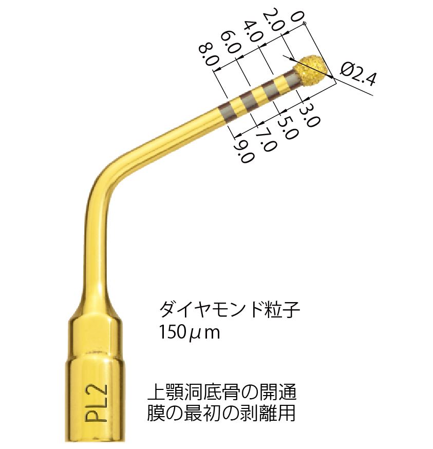 インサートチップPL2｜株式会社インプラテックスの取扱い商品