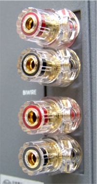 AMPZILLA 2000SE SECOND EDITION 新型 アンプジラ2000 SON OF