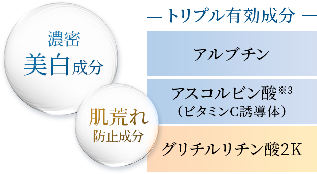 美肌パーフェクトセット（4品） | 薬用化粧品 フジナ エクセレント