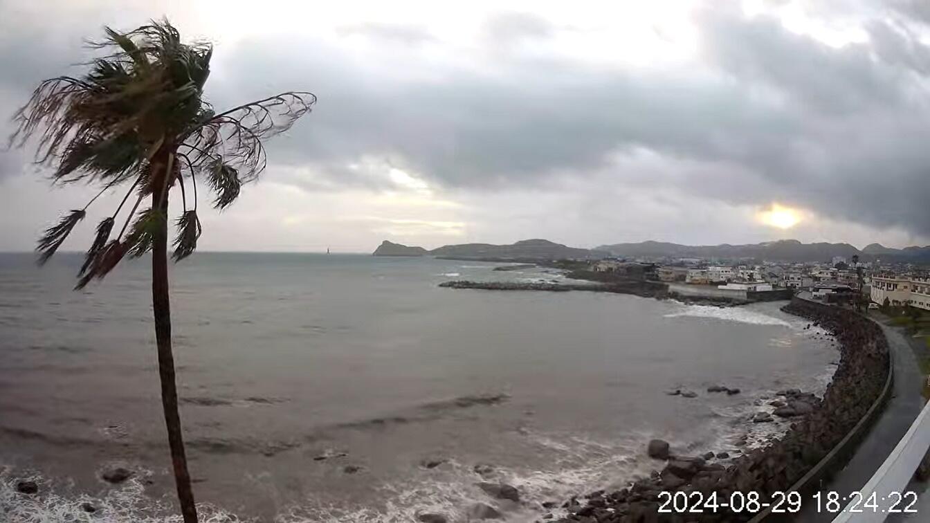 1万人超に応援」「どんだけ愛されてるんだ」 「勇気の木」ヤッシー