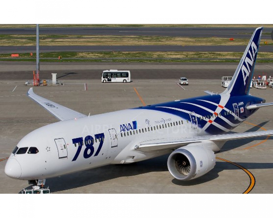 www.JetCollector.com: ANA B787-8 787 Special Livery JA801A