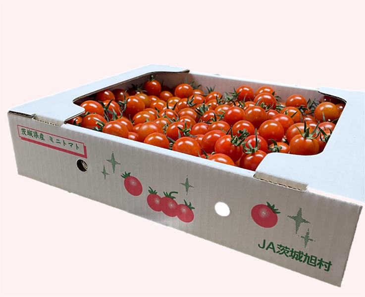 真っ赤な“こだわり”トマト！JA茨城旭村『樽トマト 』 約1kg: いいもの