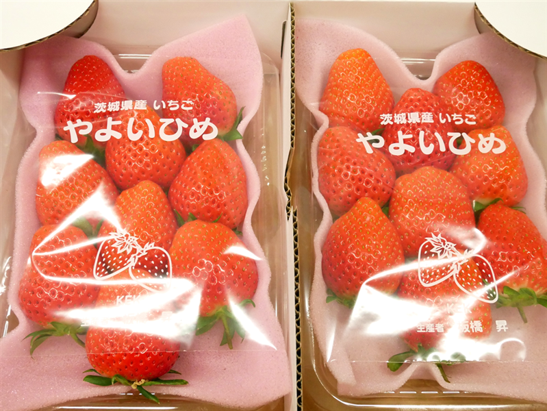 朝採り完熟いちご『やよいひめ』4パック入り 茨城県産: いいもの