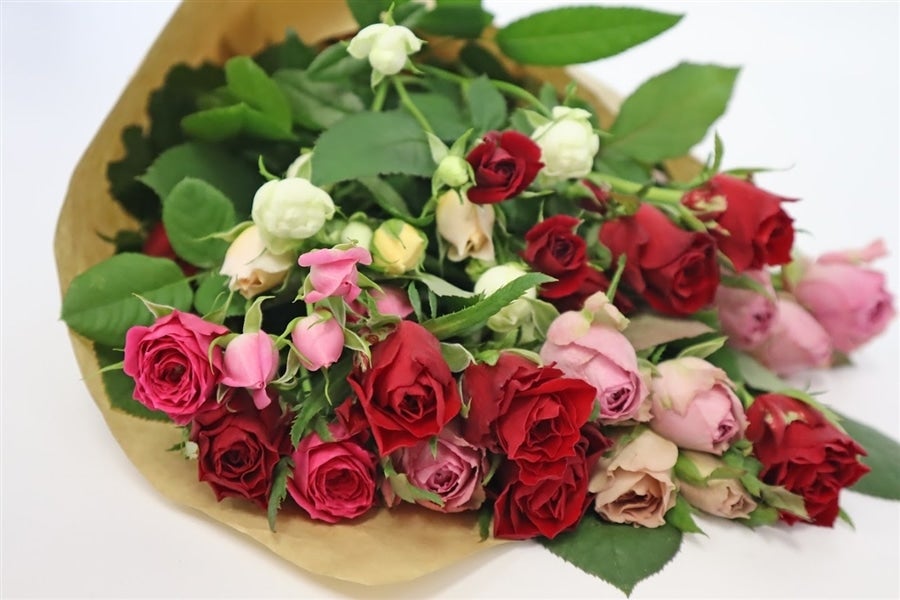 バラ20本おまかせミックス～: あいちゴコロ|【JAタウン】産地直送