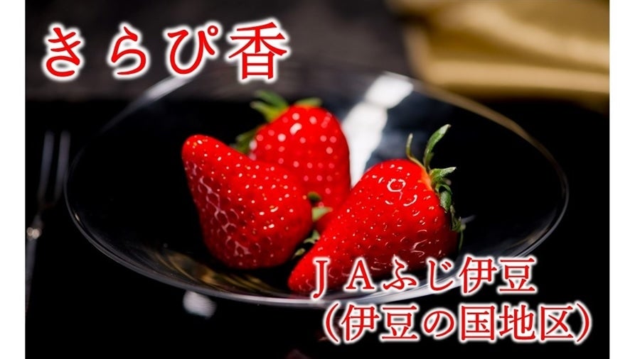 業務規格20P】静岡いちご「きらぴ香」（4P×5箱） JAふじ伊豆