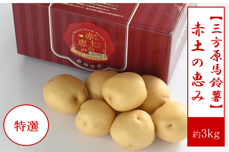 数量限定！【三方原馬鈴薯】赤土の恵み 約3kg 6月最下旬頃～発送: 笑顔
