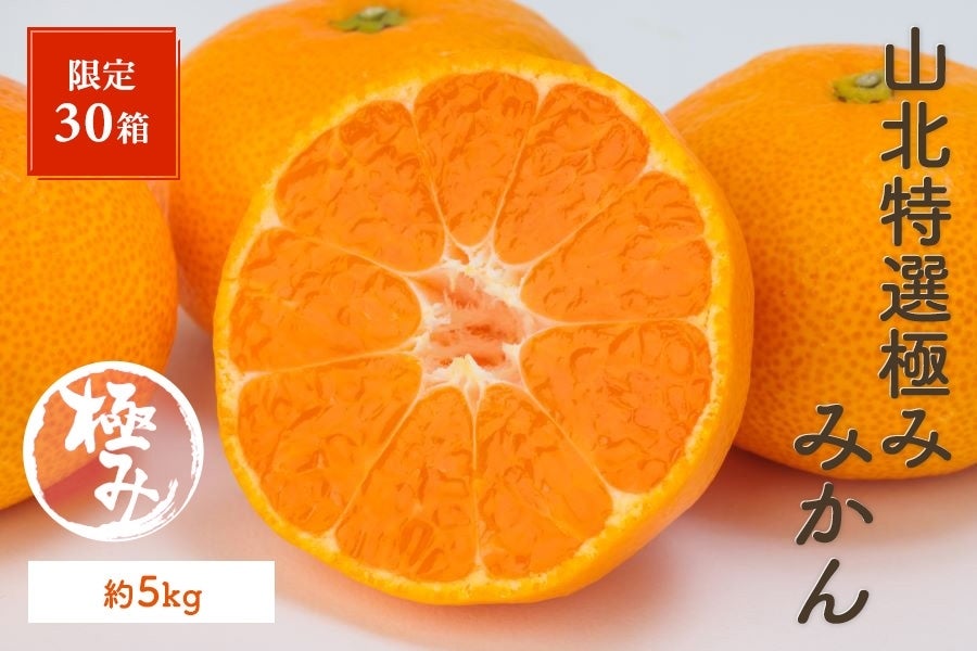 限定30箱】山北特選極みみかん 約5kg 12/2～12/24の間に発送: とさの