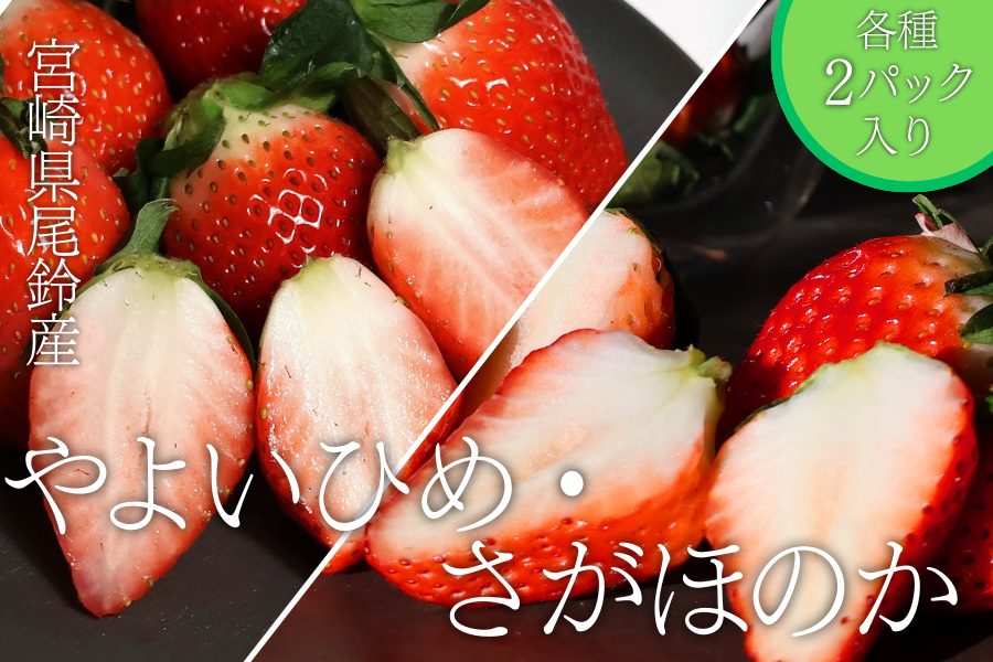 宮崎県尾鈴産 いちご4パックセット さがほのか＆やよいひめ: JA