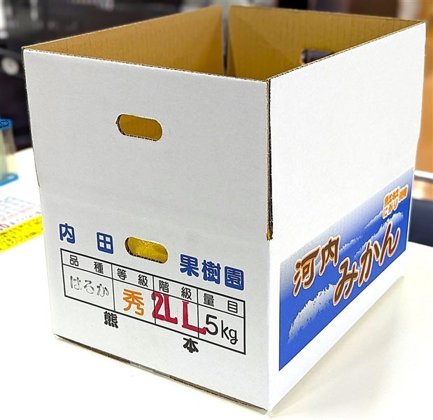 生産者限定】熊本県河内町産「はるか」5㎏: you+youくまもと 農畜産物