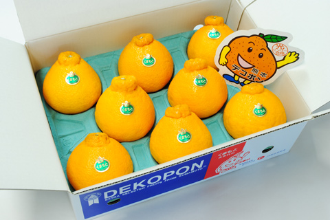 デコポン | JA熊本うき