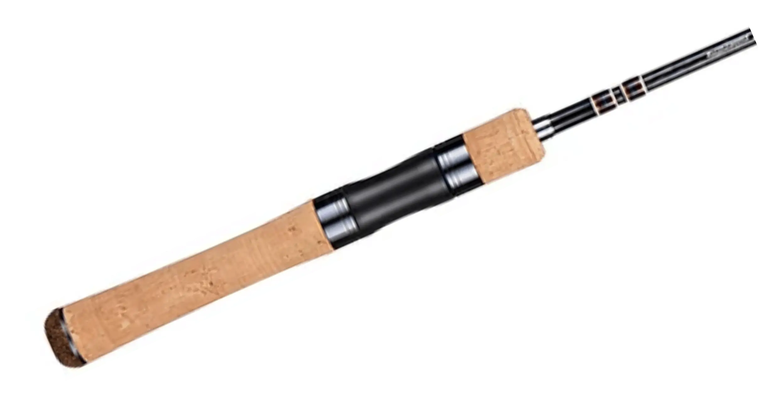 Jackson USA - Kawasemi Rhapsody