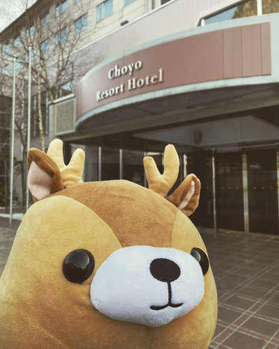 もみじちゃんのマイブーム/層雲峡温泉 朝陽リゾートホテルのブログ