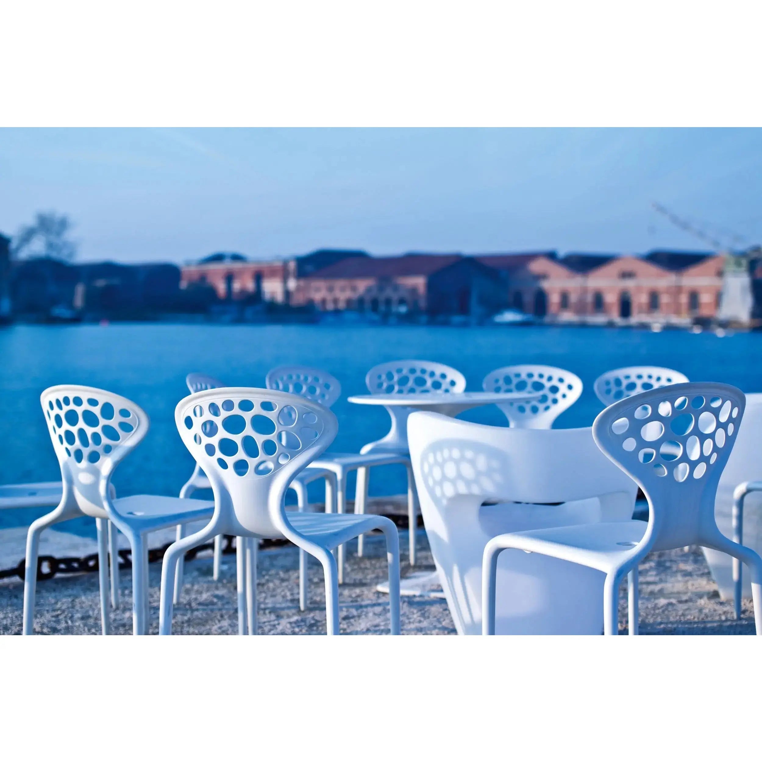 Supernatural - Chair - JANGEORGe Interiors & Furniture – JANGEORGe