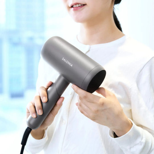 Salonia SAL23209 Smooth Shine Dryer | Japan Trend Shop