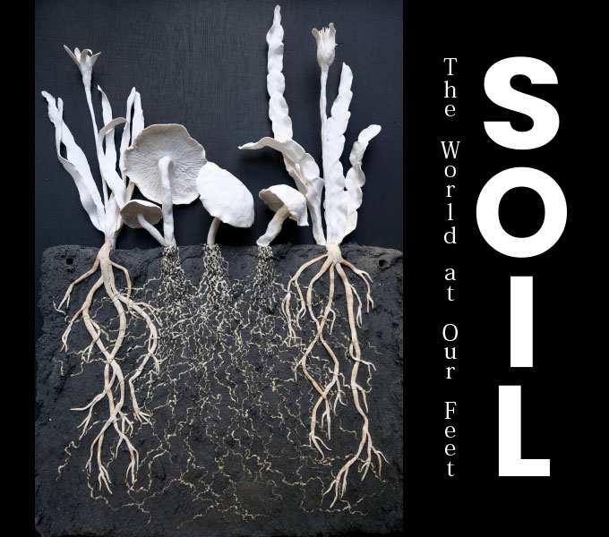 SOIL 素晴らしき「土」の世界を巡るエキシビション、サマセット