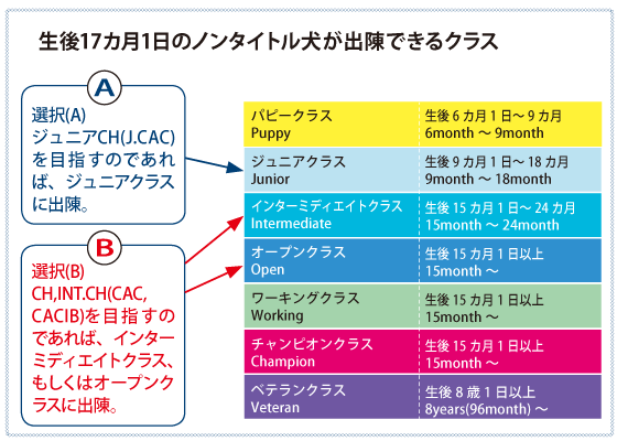 展覧会システムの改正について 解説(2) (2022年4月～) | 一般社団法人